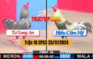 Trận 10 CPC3 25/11/2024 Gà Anh Hiếu Nhẹ Hơn 5 Chấm Đá Đối Thủ Bỏ Chạy