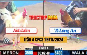 Trận 4 CPC4 29/11/2024 - Gà Bướm Anh Liêm Đá 1 Chân Có Kết Quả