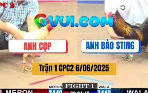 Trận 1 CPC2 6/6/2025 - Anh Cọp Và Anh Bảo Sting Bất Phân Thắng Bại