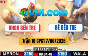Trận 10 CPC1 7/6/2025 - Gà Anh Bé Đá Phát Nào đối Thủ Tan Biến Phát Đó