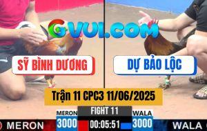 Trận 11 CPC3 11/6/2025 - Anh Sỹ Bình Dương Và Anh Dự Bảo Lộc