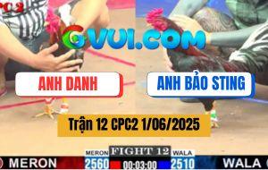 Trận 12 CPC2 1/6/2025 - Điều Đuôi Lao Anh Bảo Sting Đâm Như Chỉa