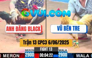 Trận 13 CPC3 6/6/2025 - Anh Đăng Black Và Anh Vũ Bến Tre