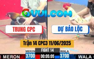 Trận 14 CPC3 11/6/2025 - Anh Trung Campuchia Và Anh Dự Bảo Lộc