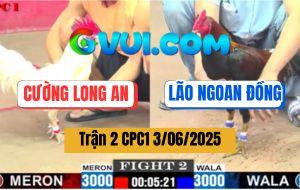 Trận 2 CPC1 3/6/2025 - Điều Xanh Lão Ngoan Đồng Tái Xuất Đá Cựa Quá Ác