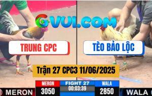 Trận 27 CPC3 11/6/2025 - Gà Xám Lúa Đâm Bướm Anh Tèo Chạy Cắm Đầu