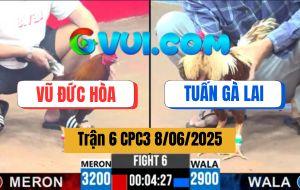 Trận 6 CPC3 8/6/2025 - Anh Vũ Đức Hòa Và Anh Tuấn Gà Lai