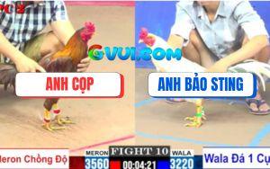 Trận 10 CPC2 27/07/2025 - Đúng Chất Ông Hoàng Wala Nhẹ Ký Đá 1 Cựa