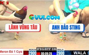 Trận 16 CPC2 27/07/2025 - Anh Lành Chới Lớn Chấp Anh Bảo Sting 1 Cựa