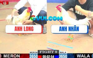 Trận 9 CPC2 30/7/2025 - Bướm Anh Long Bú Úa Gãy Giò Ngay Tay Nước Đầu