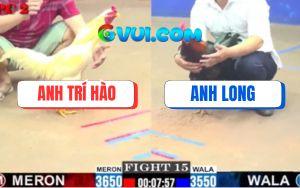 Trận 15 CPC2 4/7/2025 - Điều Tích Vôi Anh Long Đá Gà Úa Chay Trối Chết