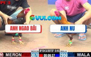 Trận 16 CPC2 25/07/2025 - Gà Khét Anh Bảo Sting Bị Đá Chạy Bay Bồ