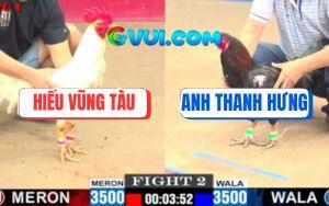 Trận 2 CPC1 5/7/2025 - Gà Anh Thanh Hưng Đá Cây Nách Đối Thủ Đứng Hình