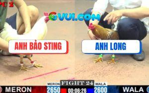 Trận 23 CPC2 16/7/2025 - Điều Cọp Bảo Sting Đá Gãy Cổ Điều Chân Xanh