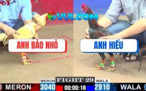 Trận 29 CPC1 5/7/2025 - Bướm Anh Bảo Nhỏ Cuối Đời Có Chân Cứu Chủ