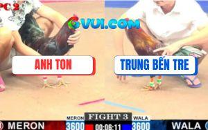 Trận 3 CPC2 4/7/2025 - Que Cọp Anh Ton Đâm Cựa Quá Nhanh Quá Nguy Hiểm