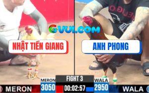 Trận 3 CPC3 26/07/2025 - Bướm Hiệu Bảo Sting Đá Cựa Như Sam Sít