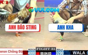 Trận 31 CPC2 9/7/2025 - Gà Chuối Kém 8 Chấm Hạ Gà Cú Anh Bảo Sting