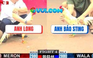 Trận 4 CPC2 16/7/2025 - Bướm Hiệu Bảo Sting Hạ Bướm Anh Long Nhanh Gọn