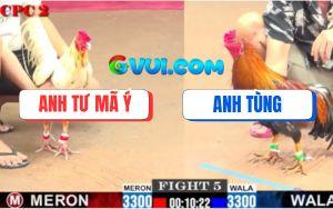 Trận 5 CPC2 25/07/2025 - Điều Anh Tùng Đá Bướm Chết Lúc Nào Không Hay