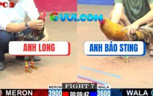 Trận 7 CPC2 16/7/2025 - Anh Long Và Anh Bảo Sting Không Phân Thắng Bại
