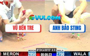 Trận 11 CPC2 01/08/2025 - Úa Hiệu Bảo Sting Đâm Gà Bướm Thở Không Kịp
