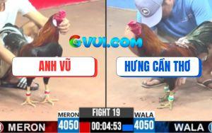 Trận 19 CPC3 5/8/2025 - Gà Anh Hưng Cần Thơ Tốc Chạy Bỏ Lại Cái Xổ 200