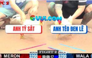 Trận 2 CPC2 3/08/2025 - Gà Bướm Anh Tèo Đen Càng Đá Càng Mất Sức