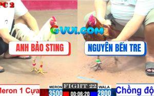 Trận 22 CPC2 01/08/2025 - Vàng Lên 3 Bú Chân 1, Bướm Bảo Sting Gãy Giò