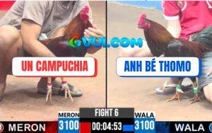 Trận 6 CPC3 5/8/2025 - Gà Anh Un Đánh Nhanh Rút Gọn Lụm Xổ 200 Quá Đẹp