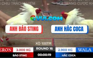 Trận 16 Bồ TonHon 10/10/2025 - Đám Úa Hiệu Anh Bảo Sting Đá Quá Lực