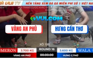 Trận 16 Ton Hon 18/10/2025 - Điều Đâm Cú Cọp Hưng Cần Thơ Nằm Xòe Đuôi