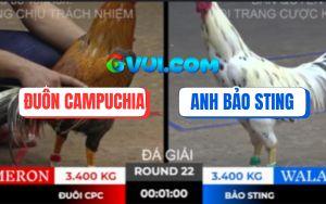 Trận 22 Bồ TonHon 10/10/2025 - Bướm Hiệu Bảo Sting Lấy Trọn 3 Điểm