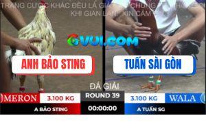 Trận 39 Bồ TonHon 10/10/2025 - Má Minh Không Thể Cản Bước Bảo Sting