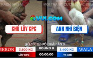 Trận 8 Bồ TonHon 10/10/2025 - Anh Nhí Biện Thử Lửa Đụng Phải Cọp