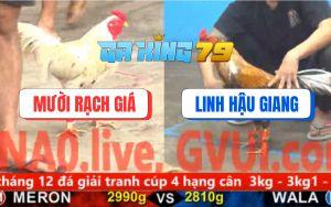 Trận 13 CPC5 23/11/2025 - Gà Cú Anh Linh Đổi Mạng Lấy Cái Giò Gà Bướm