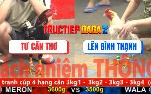 Trận 13 CPC5 6/11/2025 - Điều Bông Đá Cây Đầu Cần Bướm Té Trời Cứu