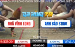 Trận 13 TonHon 28/11/2025 - Bướm Hiệu Bảo Sting Bị Knock-Out, Xổ 500