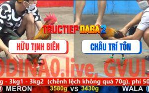 Trận 15 CPC5 15/11/2025 - Điều Chân Xanh Chặn 1 Chân Gà Vàng Lìa Giò