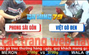 Trận 18 CPC5 27/11/2025 - Điều Cọp Anh Phong Đá 3 Chân Bẻ Cổ Đối Thủ