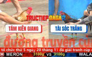 Trận 19 CPC5 16/11/2025 - Camelo Có Chân Xạo Lờ Lật Ngược Tình Thế