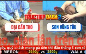 Trận 22 CPC5 19/11/2025 - Que Cọp Anh Sơn Đá 1 Tăng Gà Cú Lìa Giò