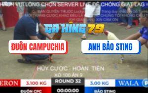 Trận 32 TonHon 28/11/2025 - Anh Bảo Sting Đổi Nài Vô Đá 3 Chân Có Kem