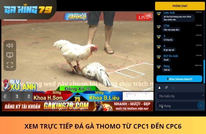 Xem trực tiếp đá gà full bồ từ CPC1 đến CPC6 cùng GAKING79 Xem trực tiếp đá gà full bồ từ CPC1 đến CPC6 cùng GAKING79