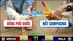 Trận 11 Ton Hon 10/12/2025 - Gà Úa Anh Dũng 1 Đá Lấy Mạng Khét Sữa