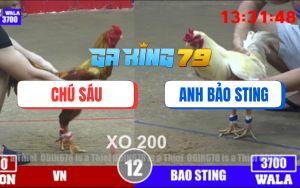 Trận 12 Bồ TonHon 3/12/2025 - Úa Mặt Râu Bảo Sting May Độ, Lụm Xổ 200