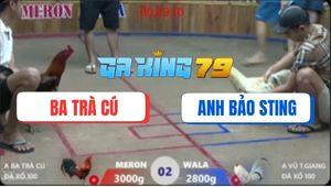 Trận 2 Hà Tiên 7/12/2025 - Bướm Bảo Sting Đụng Điêu Cọp Anh Ba Trà Cú