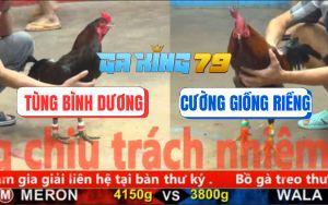 Trận 30 CPC5 6/12/2025 - Đỏ Sốc Thuốc Té, Xanh Vô Ô Sợ Máu Bỏ Miệng