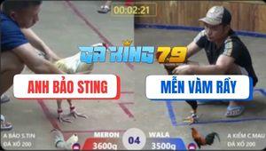 Trận 4 Hà Tiên 7/12/2025 - Bướm Hiệu Bảo Sting Không Làm AE Thất Vọng