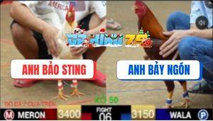 Trận 6 Ton Hon 10/12/2025 - Bướm Bảo Sting Cáp Ngông Bị Đá Ói Tốc Chạy